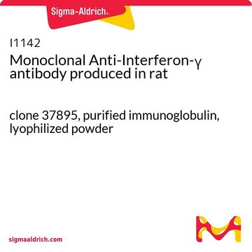 Monoclonal Anti-Interferon-&#947; antibody produced in rat clone 37895, purified immunoglobulin, lyophilized powder