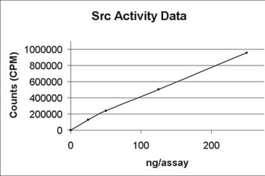 Białko Src, aktywne, 10 µg Active, N-Terminal His6-tagged, recombinant, full-length, human Src. For use in Kinase Assays.