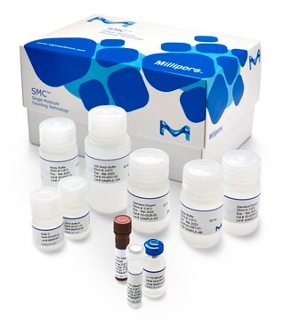 SMC &#174;人IL-17A高灵敏度试剂盒 1&#160;kit sufficient for 96&#160;wells, input: plasma, serum