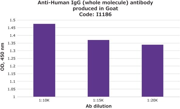 抗 人 IgG（全分子） 山羊抗 IgG fraction of antiserum, buffered aqueous solution