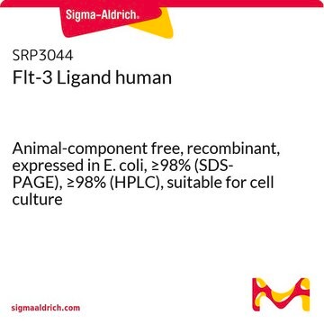 Flt-3/リガンド ヒト Animal-component free, recombinant, expressed in E. coli, &#8805;98% (SDS-PAGE), &#8805;98% (HPLC), suitable for cell culture