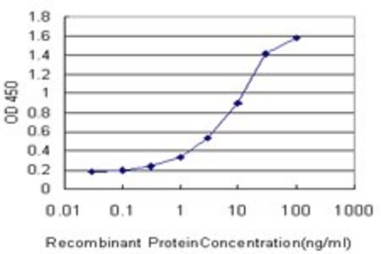 Monoclonal Anti-MAP1LC3B antibody produced in mouse clone 4E11, purified immunoglobulin, buffered aqueous solution