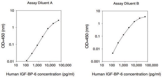 人类 IGFBP-6 ELISA 试剂盒 for serum, plasma, cell culture supernatant and urine