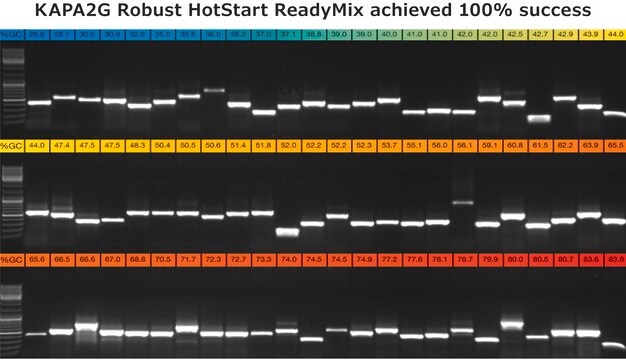 KAPA2G Robust PCR 试剂盒