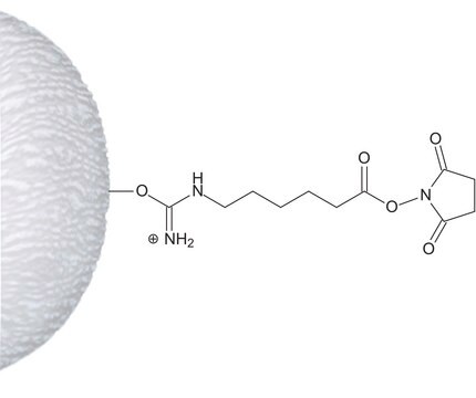 N-羟基琥珀酰亚胺基琼脂糖凝胶 &#8482; 4 快 慢 matrix fast-flow highly cross-linked 4% beaded agarose