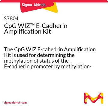 CpG WIZ&#8482; E-Cadherin Amplification Kit The CpG WIZ E-cahedrin Amplification Kit is used for determining the methylation of status of the E-cadherin promoter by methylation-specific PCR (MSP).