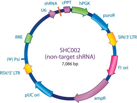 任务 &#174; pLKO.1-puro 非哺乳动物 shRNA 对照质粒 DNA Targets no known mammalian genes