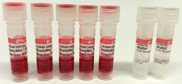 Miscela di reazione per PCR REDTaq&#174; ReadyMix&#8482; Complete PCR reagent with standard Taq DNA Polymerase and inert dye