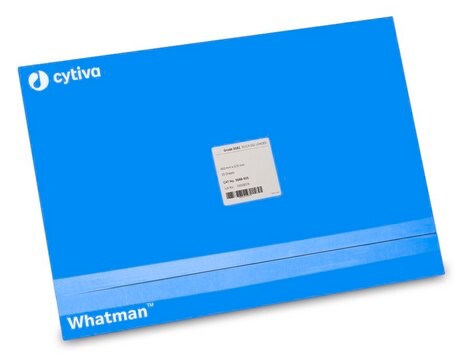 Whatman&#174; 色谱滤纸 SG81 Sheets, W × L 460&#160;mm × 570&#160;mm