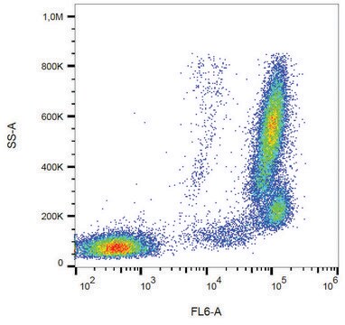 Monoclonal Anti-CD157-APC antibody produced in mouse clone SY11B5