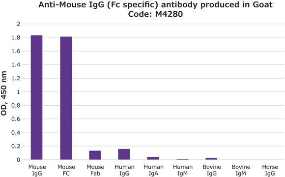 抗マウスIgG (Fc特異的) ヤギ宿主抗体 2.0&#160;mg/mL, affinity isolated antibody