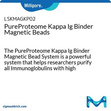 Microesferas magnéticas PureProteome ligantes para Kappa de Ig The PureProteome Kappa Ig Binder Magnetic Bead System is a powerful system that helps researchers purify all Immunoglobulins with high specificity.