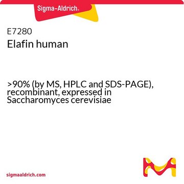 Elafin 人 &gt;90% (by MS, HPLC and SDS-PAGE), recombinant, expressed in Saccharomyces cerevisiae