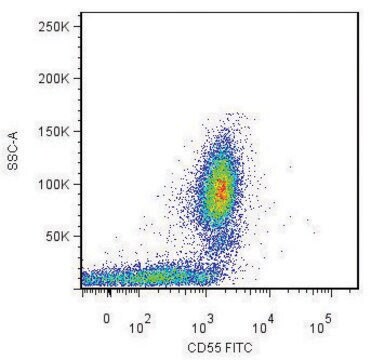 Monoclonal Anti-CD55-FITC antibody produced in mouse clone MEM-118, purified immunoglobulin, buffered aqueous solution