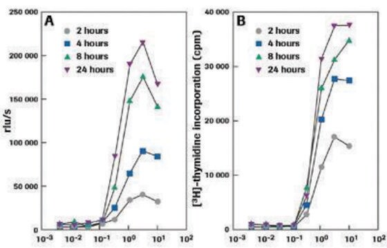 Test ELISA na proliferację komórek, BrdU (chemiluminescencyjny)