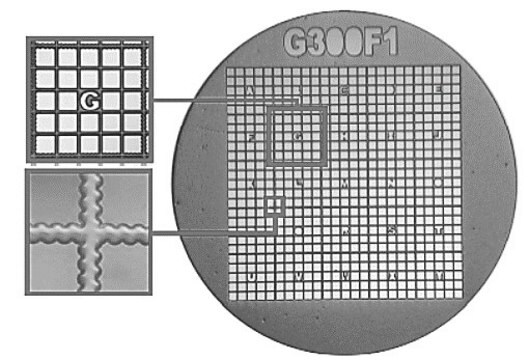 Gilder Finder Grids G300F1 Gold, size 300&#160;mesh, vial of 100