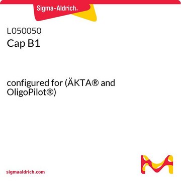 Cap B1 configured for (ÄKTA&#174; and OligoPilot&#174;)