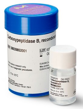 Carboxypeptidase B, recombinante solution, ~150&#160;units/mg protein (at +25°C with hippuryl-L-arginine as the substrate), optimum pH 7.0-9.0