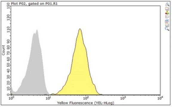 Anti-CLEC-2 Antibody, clone AYP1 clone AYP1, from mouse