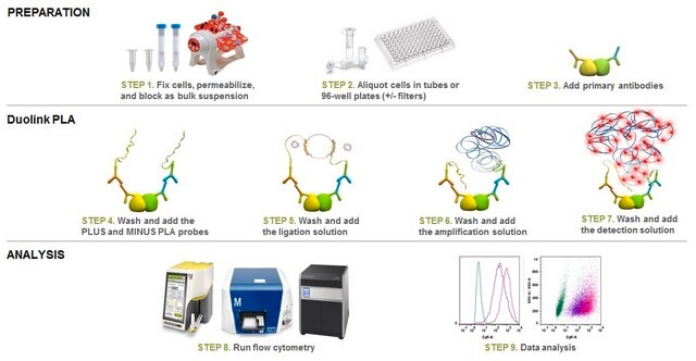 Duolink&#174;-flowPLA-Detektionskit – Grün Duolink&#174; PLA kit for Flow Cytometry with Green Detection