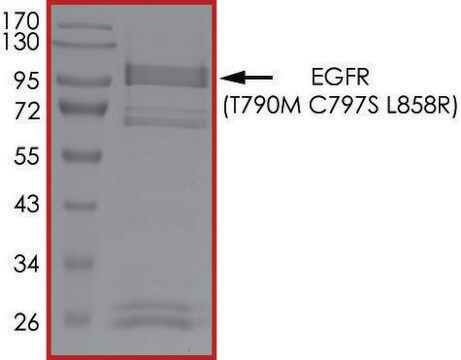 EGFR (T790M C797S L858R), aktywny PRECISIO &#174;Kinase, recombinant