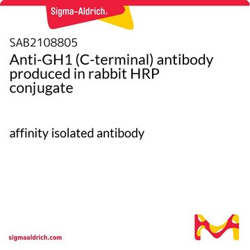 Anti-GH1 (C-terminal) antibody produced in rabbit HRP conjugate affinity isolated antibody