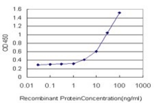 Monoclonal Anti-ATP6V1B2 antibody produced in mouse clone M1, purified immunoglobulin, buffered aqueous solution