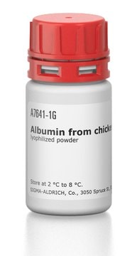 Albumine from chicken egg white lyophilized powder