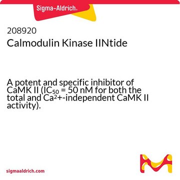 Kinaza kalmodulinowa IINtide A potent and specific inhibitor of CaMK II (IC&#8325;&#8320; = 50 nM for both the total and Ca2+-independent CaMK II activity).