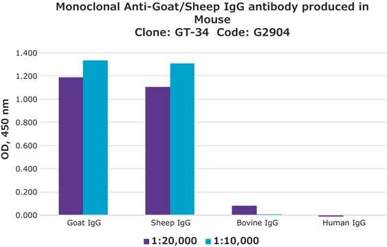 Anticorps monoclonal anti-IgG de chèvre/mouton clone GT-34, ascites fluid