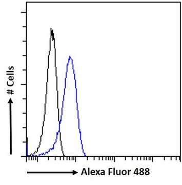 Anti-CD80 antibody produced in goat affinity isolated antibody, buffered aqueous solution