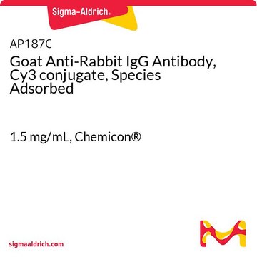 Goat Anti-Rabbit IgG Antibody, Cy3 conjugate, Species Adsorbed 1.5&#160;mg/mL, Chemicon&#174;