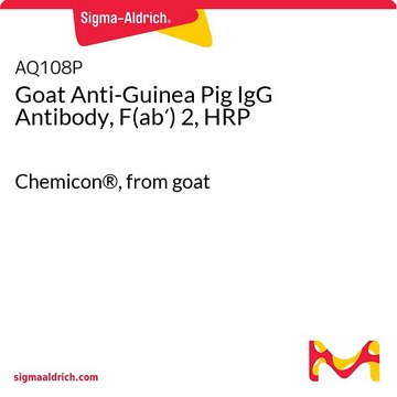 Goat Anti-Guinea Pig IgG Antibody, F(ab&#8242;) 2, HRP Chemicon&#174;, from goat