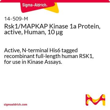 Rsk1/MAPKAP Kinase 1a Protein, active, Human, 10 &#181;g Active, N-terminal His6 tagged recombinant full-length human RSK1, for use in Kinase Assays.