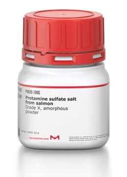 Protamin -sulfat (Salz) aus Lachs Grade X, amorphous powder