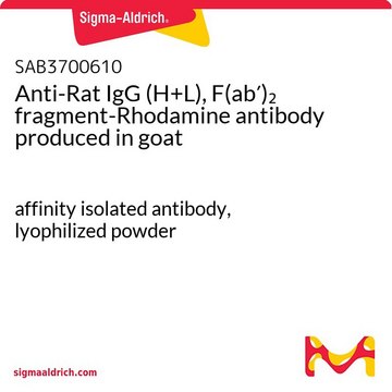 Anti-Rat IgG (H+L), F(ab&#8242;)2 fragment-Rhodamine antibody produced in goat affinity isolated antibody, lyophilized powder