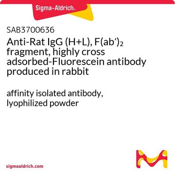 Anti-Rat IgG (H+L), F(ab&#8242;)2 fragment, highly cross adsorbed-Fluorescein antibody produced in rabbit affinity isolated antibody, lyophilized powder