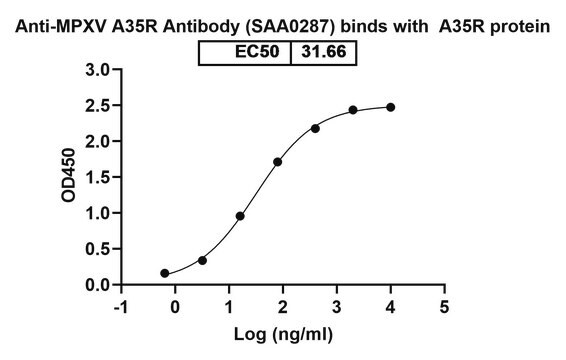 Przeciwciało anty-Monkeypox virus/MPXV A35R (SAA0287)