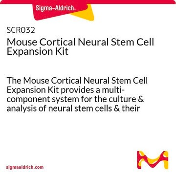 Mouse Cortical Neural Stem Cell Expansion Kit The Mouse Cortical Neural Stem Cell Expansion Kit provides a multi-component system for the culture &amp; analysis of neural stem cells &amp; their differentiated progenies.