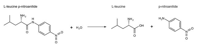 アミノペプチダーゼ Aeromonas proteolytica由来 lyophilized powder, 50-150&#160;units/mg protein