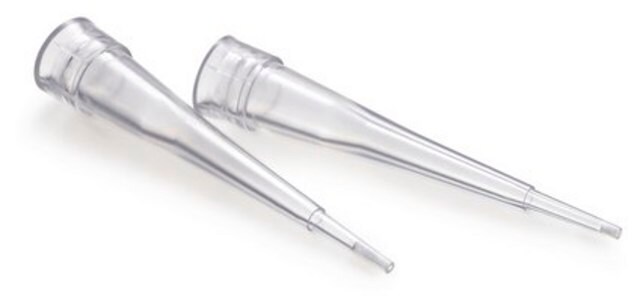 Puntali per pipette ZipTip&#174; C18 resin, bed volume 0.6&#160;&#956;L, tip volume 10&#160;&#956;L