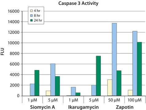 Caspase-3-Assay-Kit, fluorimetrisch