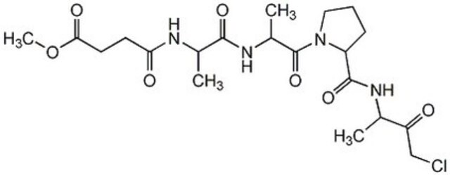 Elastase-Inhibitor&nbsp;II The Elastase Inhibitor II controls the biological activity of Elastase. This small molecule/inhibitor is primarily used for Protease Inhibitors applications.