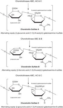 コンドロイチナーゼ&#160;B from Flavobacterium heparinum lyophilized powder (with BSA as stabilizer)