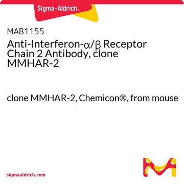 Anticorps anti-chaîne&nbsp;2 du récepteur de l'interféron &#945;/&#946;, clone&nbsp;MMHAR-2 clone MMHAR-2, Chemicon&#174;, from mouse