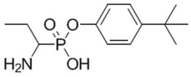 Inhibitor aminopeptydazy N/CD13 The Aminopeptidase N/CD13 Inhibitor controls the biological activity of Aminopeptidase N/CD13. This small molecule/inhibitor is primarily used for Neuroscience applications.