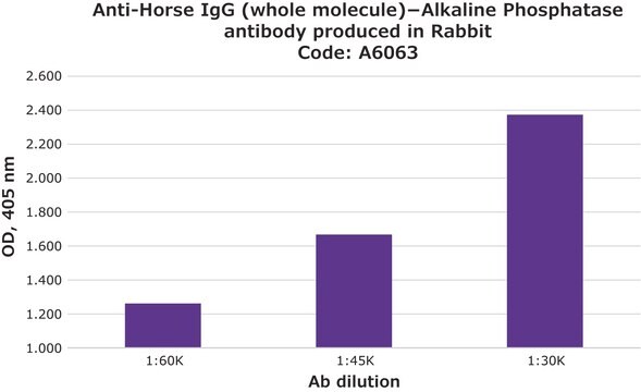 Anti-Horse IgG (whole molecule)&#8722;Alkaline Phosphatase antibody produced in rabbit affinity isolated antibody, buffered aqueous glycerol solution