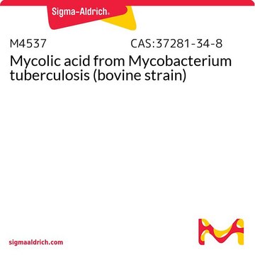 Mycolsäure aus Mycobacterium tuberculosis (Rinder-Stamm)