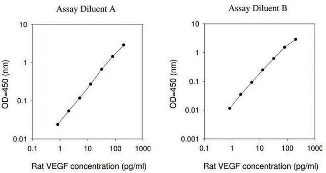 大鼠VEGF ELISA试剂盒 for serum, plasma and cell culture supernatant