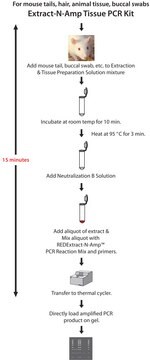 REDExtract-N-Amp&#8482; Tissue PCR Kit sufficient for 10&#160;extractions, sufficient for 10&#160;amplifications